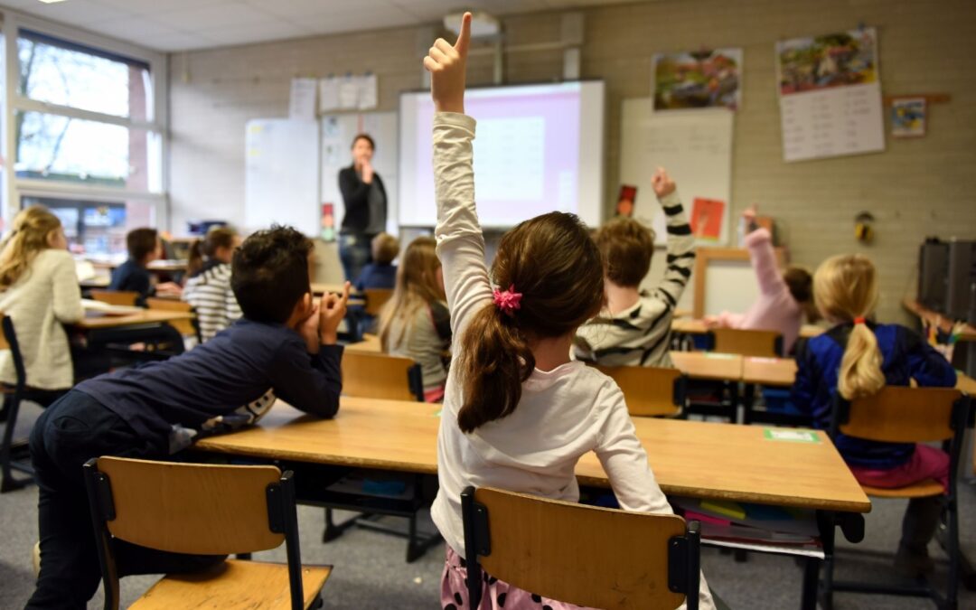 Lycée : Ces Clubs Secrets qui Changent Tout !
